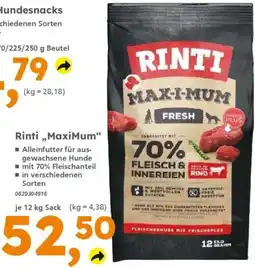 Globus Baumarkt Rinti MaxiMum Angebot