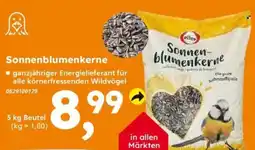 Globus Baumarkt elles Sonnenblumenkerne Angebot