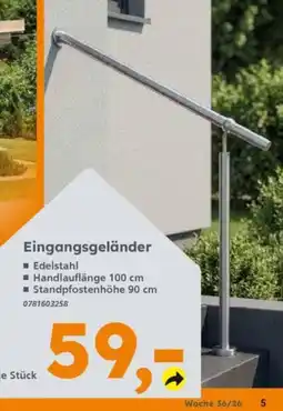 Globus Baumarkt Eingangsgeländer Angebot