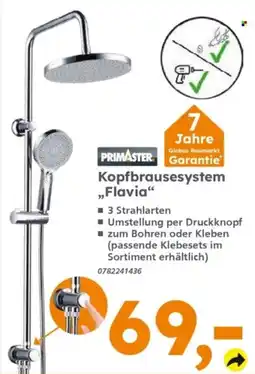Globus Baumarkt Kopfbrausesystem "Flavia" Angebot