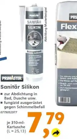 Globus Baumarkt Sanitär Silikon Angebot