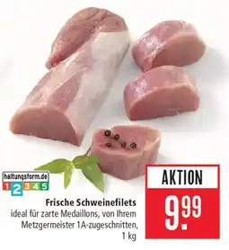 Marktkauf Frische Schweinefilets Angebot