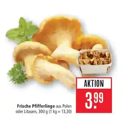 Marktkauf Frische Pfifferlinge Angebot