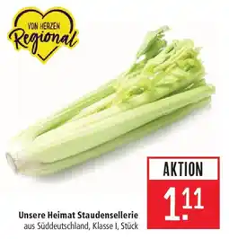 Marktkauf Unsere Heimat Staudensellerie Angebot
