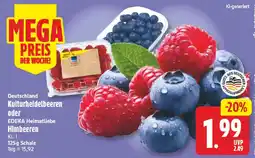 NP Discount Deutschland Kulturheidelbeeren oder EDEKA Heimatliebe Himbeeren Angebot