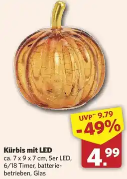 Combi Kürbis mit LED Angebot