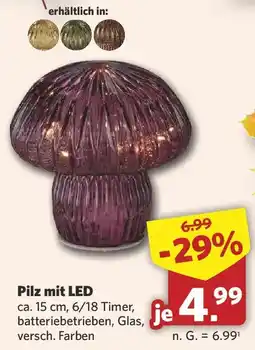 Combi Pilz mit LED Angebot