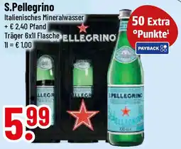 trinkgut S.Pellegrino Angebot