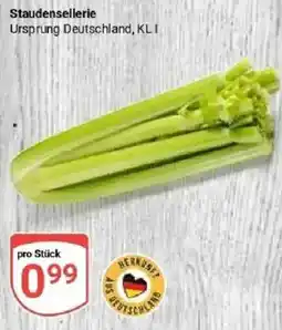 Globus Staudensellerie Angebot