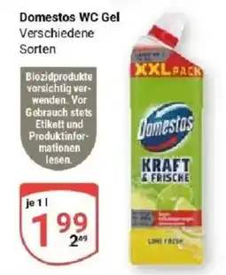 Globus Domestos WC Gel Angebot