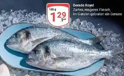 Globus Dorade Royal Angebot