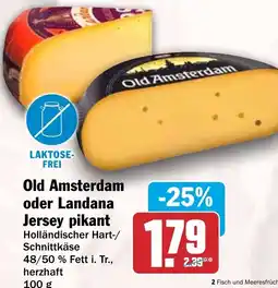 HIT Ullrich Old Amsterdam Jersey pikant Angebot