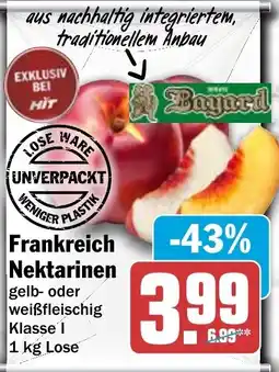 HIT Ullrich Bayard Nektarinen Angebot