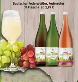 Markgrafen Badischer Federweißer, Federroter Angebot