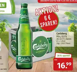 Markgrafen Carlsberg Pils Angebot