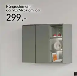 Möbel Martin Hängeelement Angebot