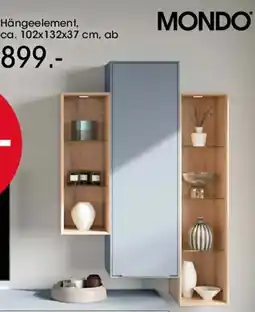 Möbel Martin Hängeelement MONDO Angebot