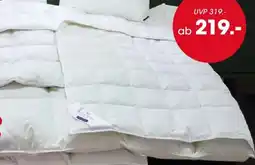 Möbel Martin billerbeck Daunenkissen Angebot