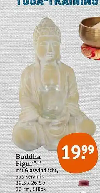 tegut Buddha Figur Angebot