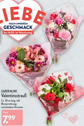 Aldi Nord Gardenline Valentinsstrauß Angebot