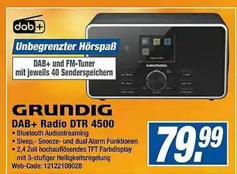 Expert Grundig Dab+ Radio Dtr 4500 Angebot