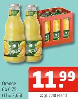 Getränke Oase Ameiche Orange Angebot