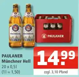 Getränke Oase PAULANER Münchner Hell Angebot