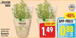 Elli Markt EDEKA Bio Rosmarin Angebot