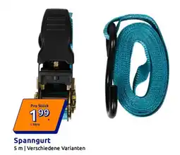 Action Spanngurt Angebot