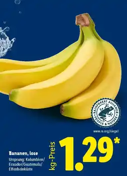 Lidl Bananen, lose Angebot