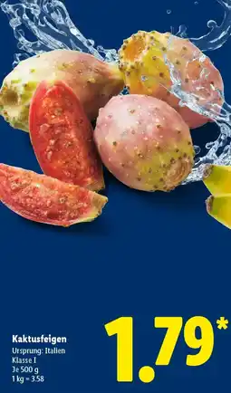 Lidl Kaktusfeigen Angebot