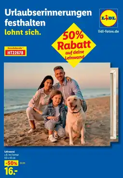 Lidl Leinwand Angebot