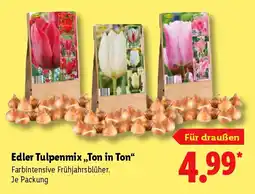 Lidl Edler Tulpenmix ,,Ton in Ton" Angebot