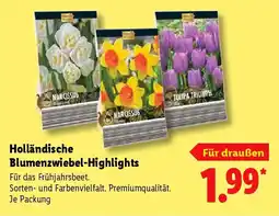 Lidl Holländische Blumenzwiebel-Highlights Angebot
