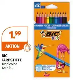 Müller Bic farbstifte Angebot