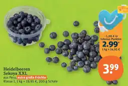 tegut Heidelbeeren Sekoya XXL Angebot