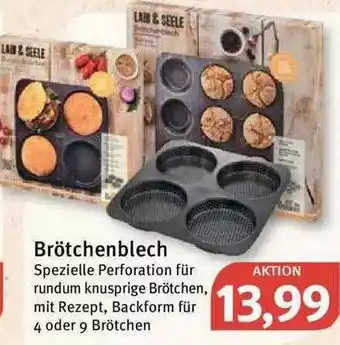 Feneberg Brötchenblech Angebot