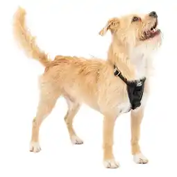 Netto Marken-Discount Kurgo Tru-Fit Autosicherheitsgeschirr für Hunde, Größe XS, Schwarz Angebot