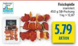 diska Fleischspieße mariniert Angebot