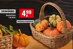 Handelshof Zierkürbis Angebot