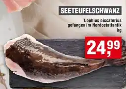 Handelshof Seeteufelschwanz Angebot