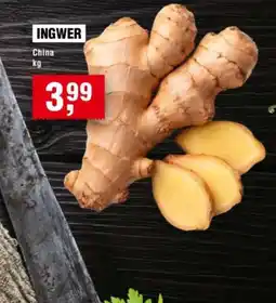 Handelshof INGWER Angebot