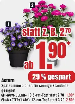 B1 Discount Baumarkt Astern Angebot