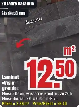 B1 Discount Baumarkt Laminat Visiogrande Angebot
