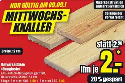 B1 Discount Baumarkt Universaldiele Douglasie Angebot