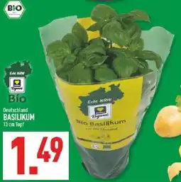 Marktkauf Bio Basilikum Angebot