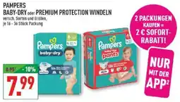 Marktkauf Pampers Baby-Dry oder Premium Protection Windeln Angebot