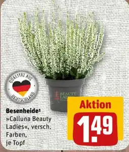 nahkauf Besenheide 'Calluna Beauty Ladies' Angebot