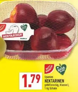 Marktkauf NEKTARINEN Angebot