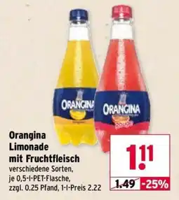 Wasgau Orangina Limonade Angebot